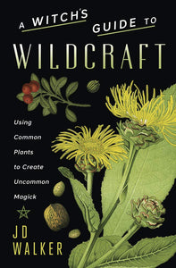 A Witch’s Guide to Wildcraft: Using Common Plants to Create Uncommon Magick. By JD Walker