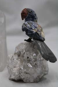 Hand carved gemstone (Sodalite) bird on a cluster of super sparkly quartz.