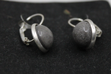 Silver & Grey Earrings